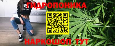 гидропоника Моздок