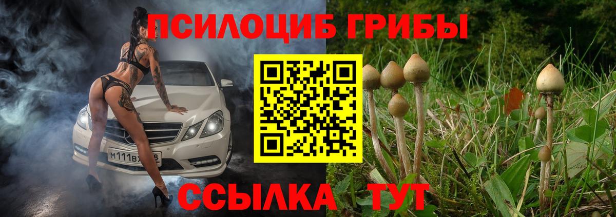 Псилоцибиновые грибы Cubensis  Вход с VPN  Советский 